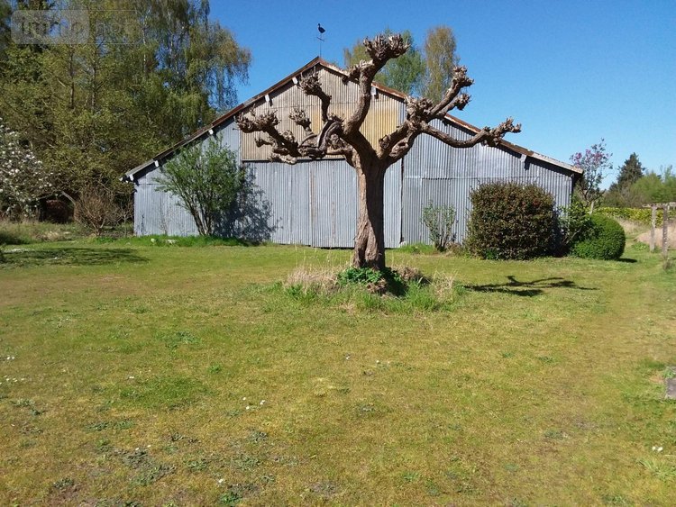 Maison a vendre Soings-en-Sologne 41230 Loir-et-Cher 125 m2 5 pièces 152500 euros