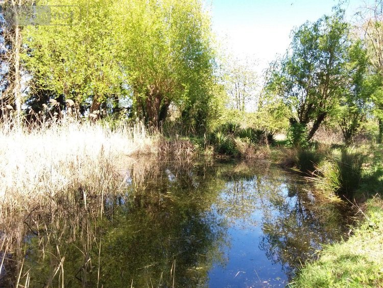 Maison a vendre Soings-en-Sologne 41230 Loir-et-Cher 125 m2 5 pièces 152500 euros