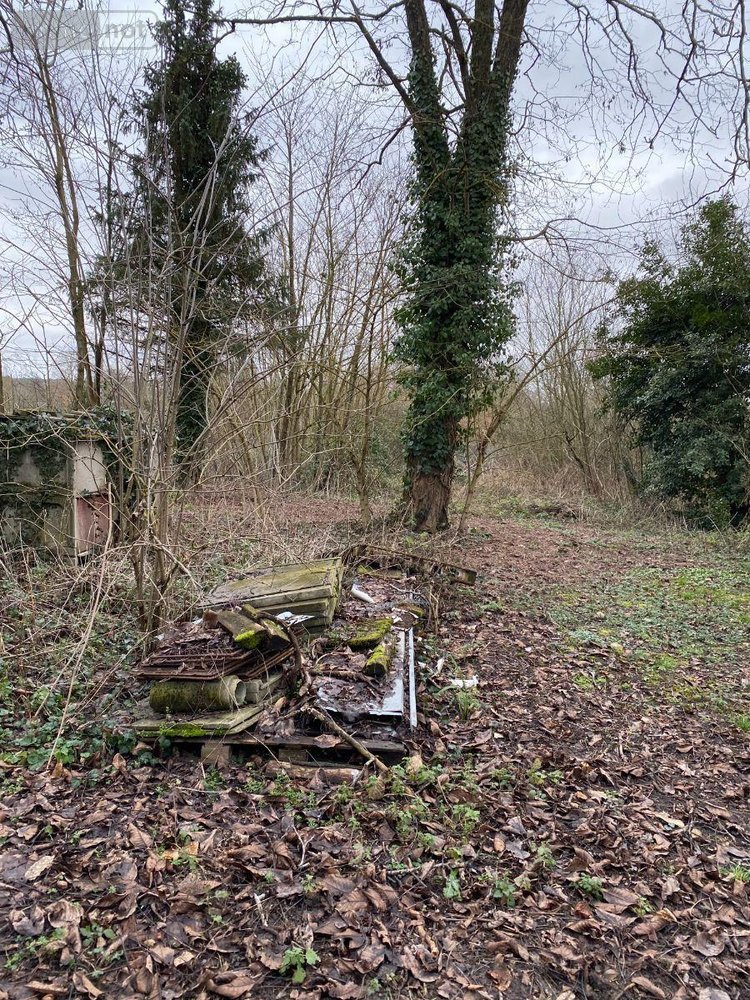 Maison a vendre Martizay 36220 Indre 50 m2 3 pièces 43600 euros