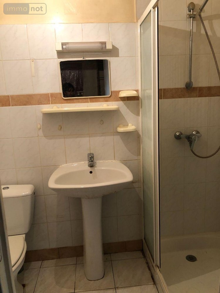 Maison a vendre La Champenoise 36100 Indre 45 m2 2 pièces 38000 euros