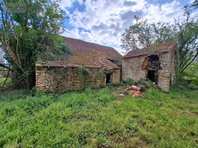 Maison a vendre Siorac-en-Périgord 24170 Dordogne 50 m2 2 pièces 106000 euros