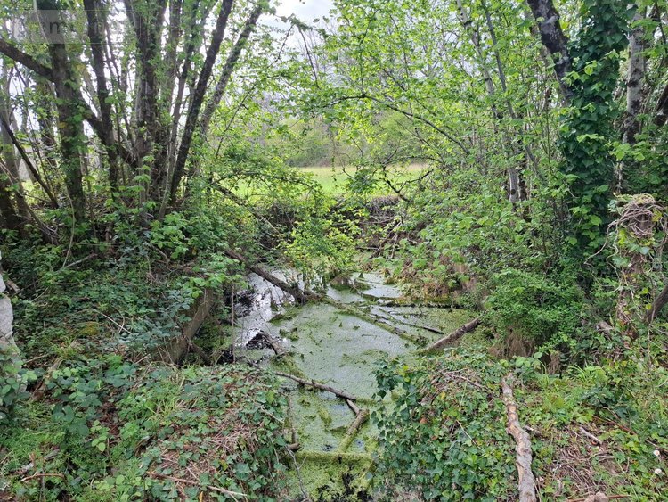 Maison a vendre Siorac-en-Périgord 24170 Dordogne 50 m2 2 pièces 106000 euros