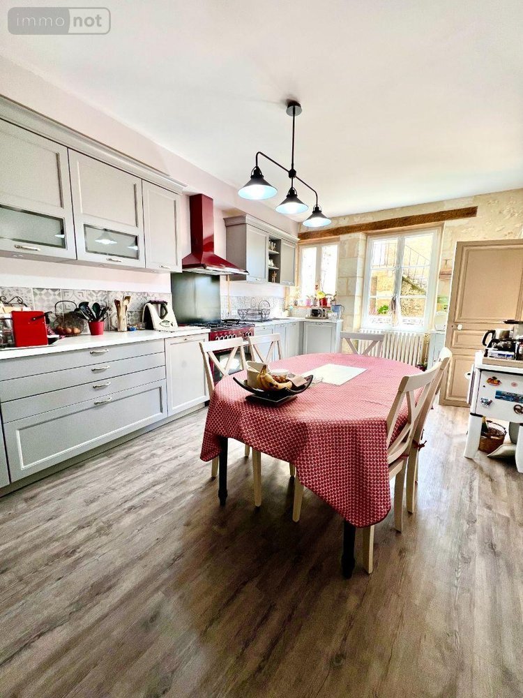 Maison a vendre Châtillon-sur-Indre 36700 Indre 130 m2 7 pièces 210000 euros