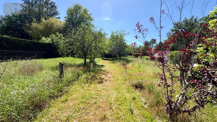 Maison a vendre Souesmes 41300 Loir-et-Cher 116 m2 4 pièces 142290 euros