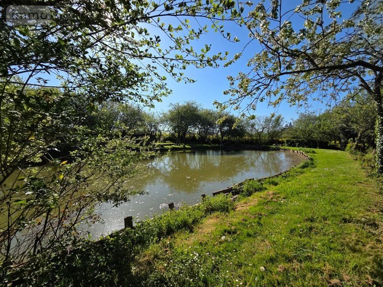 Terrains de loisirs bois etangs a vendre Villaines-la-Juhel 53700 Mayenne 1754 m2  11200 euros