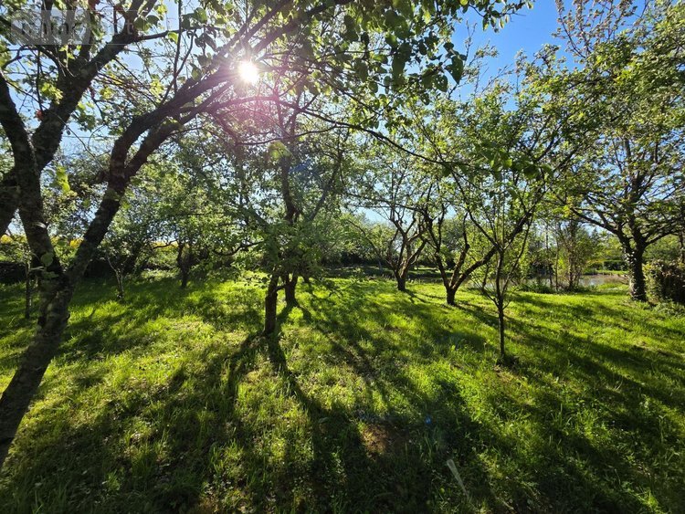 Terrains de loisirs bois etangs a vendre Villaines-la-Juhel 53700 Mayenne 1754 m2  11200 euros