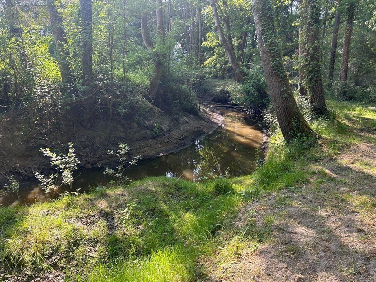 Maison a vendre Vernou-en-Sologne 41230 Loir-et-Cher 140 m2 5 pièces 222500 euros