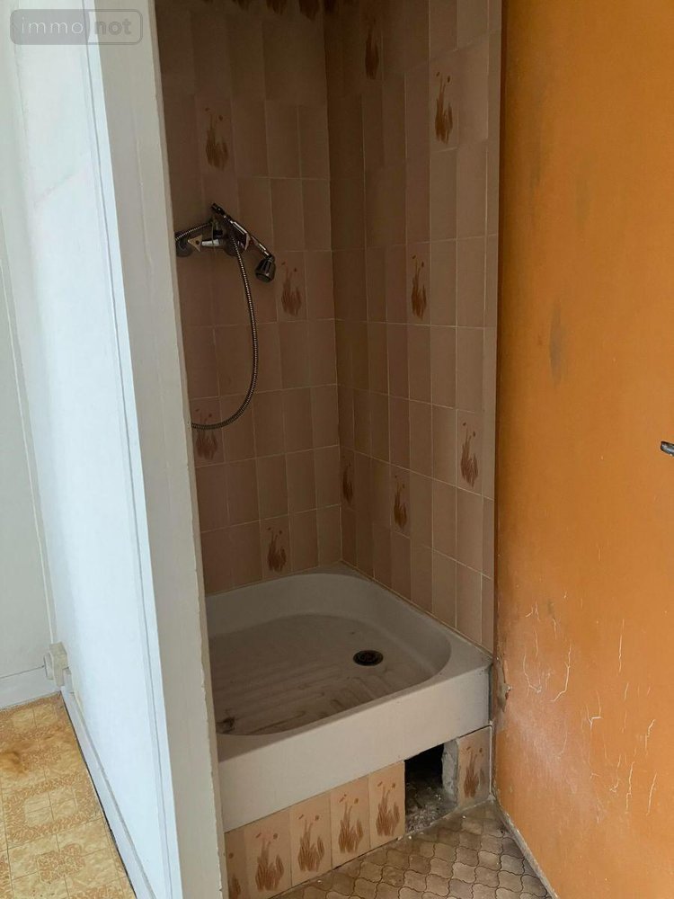 Appartement a vendre Saint-Maurice 94410 Val-de-Marne 45 m2 2 pièces 231000 euros