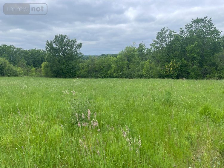 Terrain a batir a vendre Verteillac 24320 Dordogne 5939 m2  25000 euros