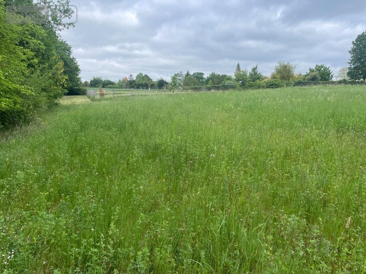 Terrain a batir a vendre Verteillac 24320 Dordogne 5939 m2  25000 euros