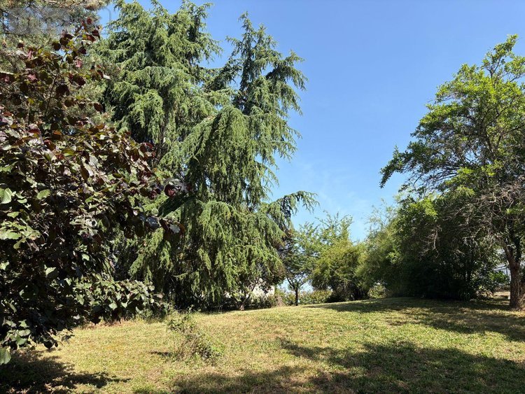 Maison a vendre Le Pêchereau 36200 Indre 166 m2 5 pièces 264620 euros