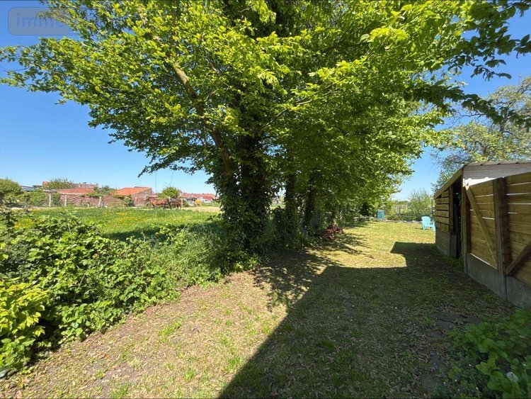 Maison a vendre Vieux-Berquin 59232 Nord 129 m2 6 pièces 216070 euros