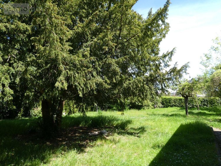 Maison a vendre Amboise 37400 Indre-et-Loire 76 m2  365690 euros