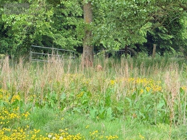 Maison a vendre Boisjean 62170 Pas-de-Calais 122 m2 6 pièces 115948 euros