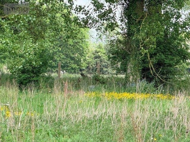 Maison a vendre Boisjean 62170 Pas-de-Calais 122 m2 6 pièces 115948 euros