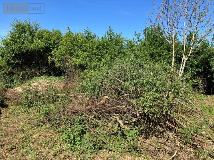 Terrain a batir a vendre Bourbon-Lancy 71140 Saône-et-Loire 1095 m2  17500 euros