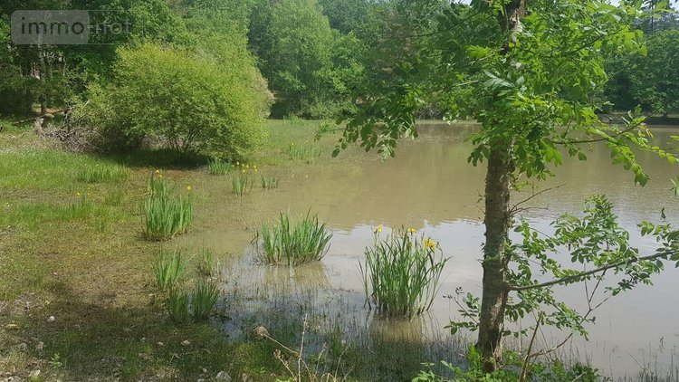 Terrains de loisirs bois etangs a vendre Langon sur Cher 41320 Loir-et-Cher 20335 m2  91500 euros