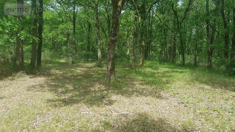 Terrains de loisirs bois etangs a vendre Langon sur Cher 41320 Loir-et-Cher 20335 m2  91500 euros