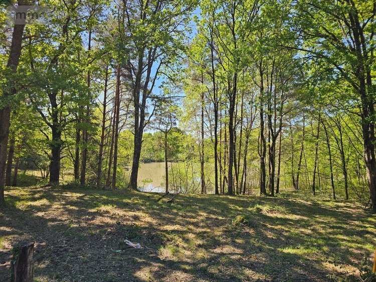 Terrains de loisirs bois etangs a vendre Langon sur Cher 41320 Loir-et-Cher 20335 m2  91500 euros