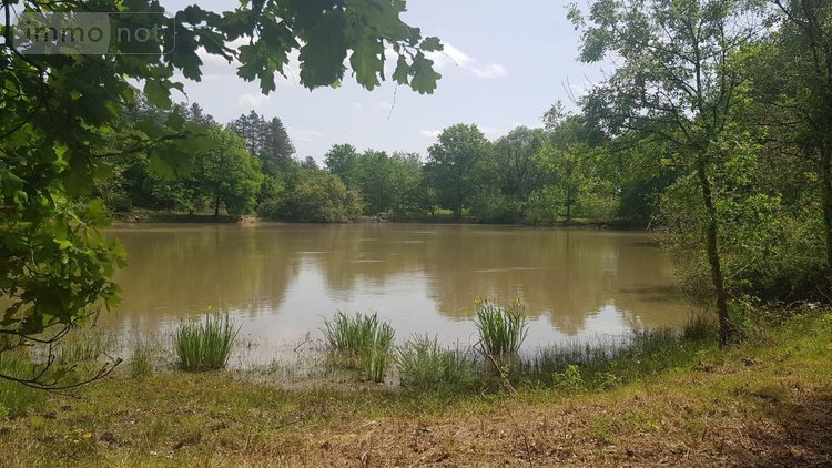 Terrains de loisirs bois etangs a vendre Langon sur Cher 41320 Loir-et-Cher 20335 m2  91500 euros