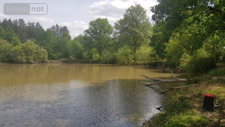 Terrains de loisirs bois etangs a vendre Langon sur Cher 41320 Loir-et-Cher 20335 m2  91500 euros