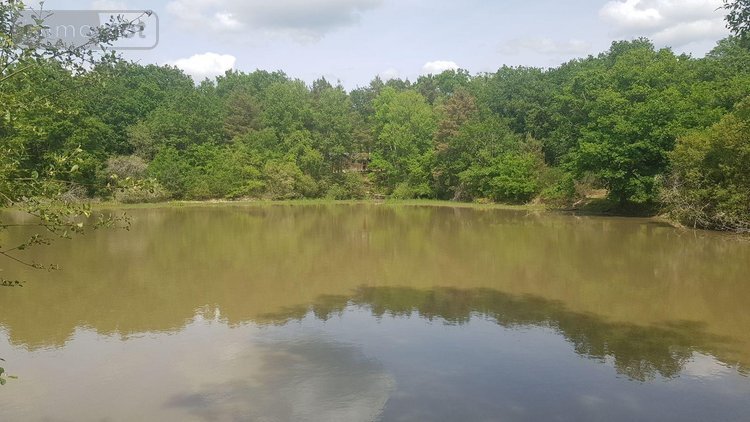 Terrains de loisirs bois etangs a vendre Langon sur Cher 41320 Loir-et-Cher 20335 m2  91500 euros