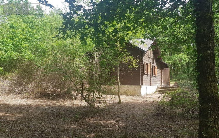 Terrains de loisirs bois etangs a vendre Langon sur Cher 41320 Loir-et-Cher 20335 m2  91500 euros
