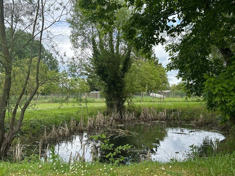 Maison a vendre Saint-Georges-sur-Cher 41400 Loir-et-Cher 150 m2 6 pièces 241267 euros