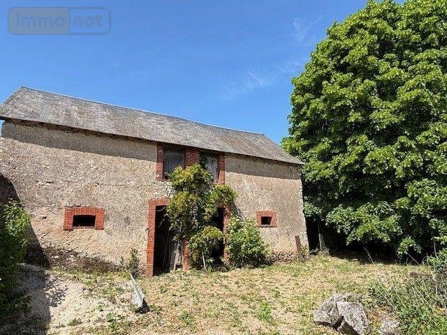 Maison a vendre Vineuil 41350 Loir-et-Cher 325 m2  386520 euros