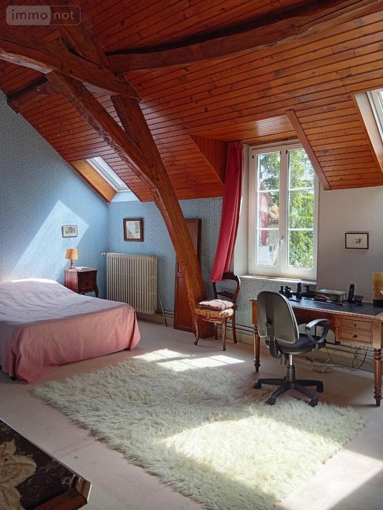 propriete a vendre Beaugency 45190 Loiret 280 m2 11 pièces 356900 euros