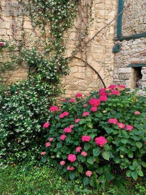 Maison a vendre Souillac 46200 Lot 240 m2 6 pièces 320000 euros