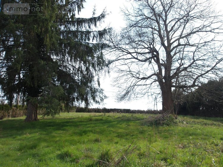 propriete a vendre Bétête 23270 Creuse 152 m2  127920 euros