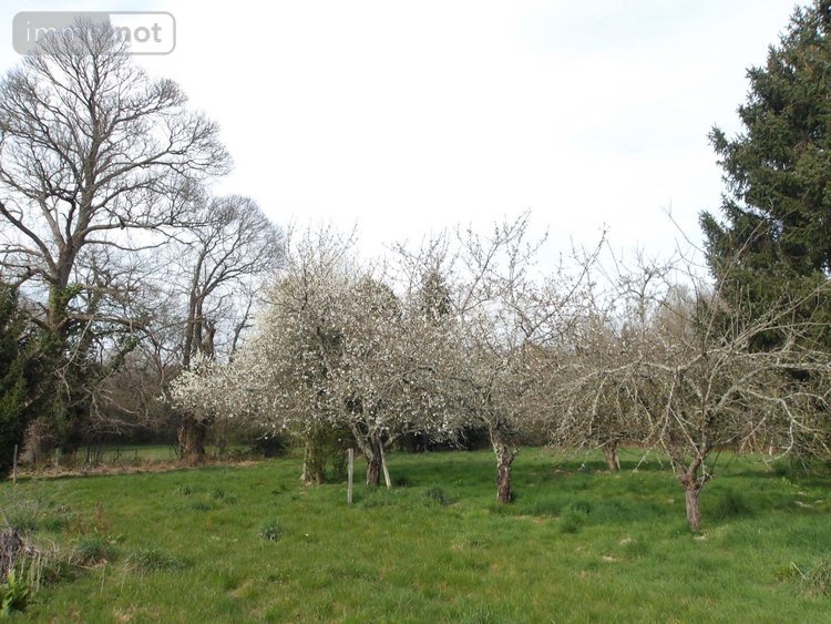 propriete a vendre Bétête 23270 Creuse 152 m2  127920 euros