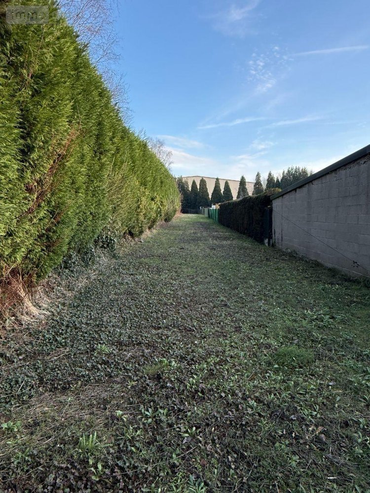 Maison a vendre Blaringhem 59173 Nord 80 m2 4 pièces 106450 euros