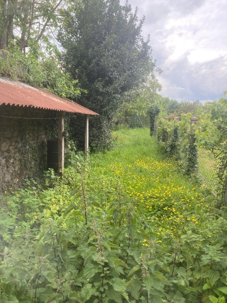 Maison a vendre Louverné 53950 Mayenne 53 m2 2 pièces 86720 euros