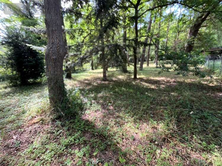 Terrains de loisirs bois etangs a vendre Larchant 77760 Seine-et-Marne 3579 m2  99000 euros
