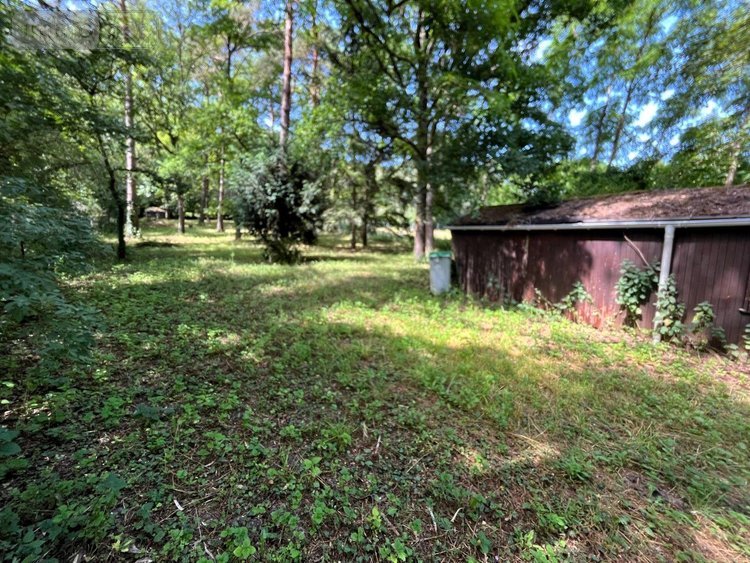Terrains de loisirs bois etangs a vendre Larchant 77760 Seine-et-Marne 3579 m2  99000 euros