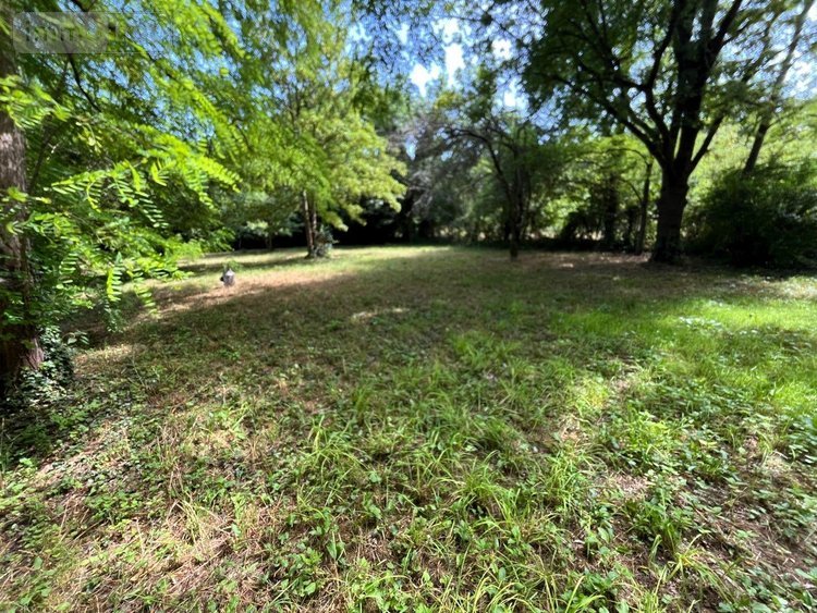 Terrains de loisirs bois etangs a vendre Larchant 77760 Seine-et-Marne 3579 m2  99000 euros