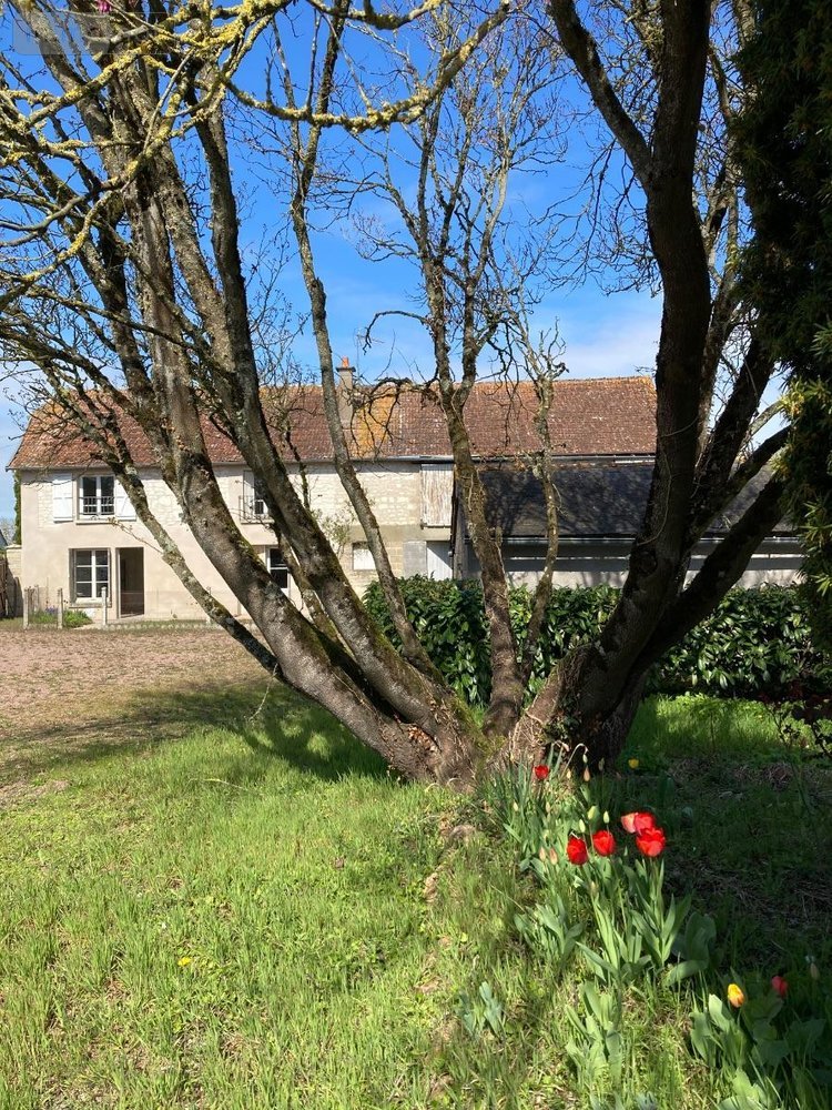 Maison a vendre Ligré 37500 Indre-et-Loire 170 m2 6 pièces 243200 euros