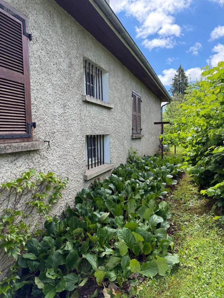 Maison a vendre Mauriac 15200 Cantal 5 pièces 148400 euros