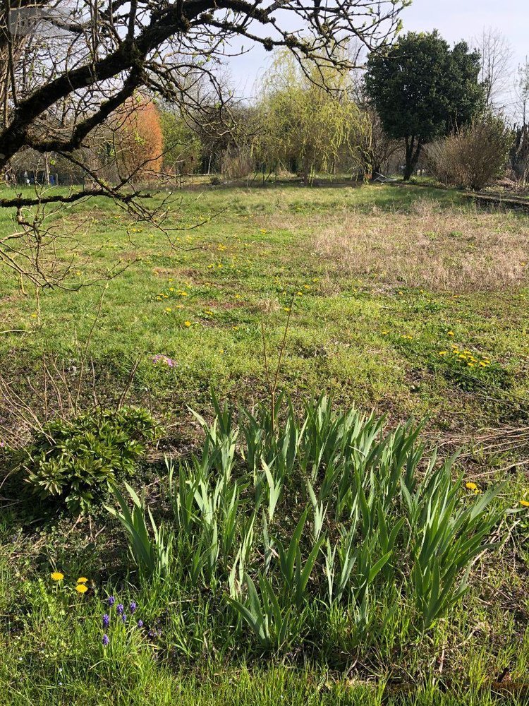 Maison a vendre Tronville-en-Barrois 55310 Meuse 173 m2 5 pièces 134000 euros