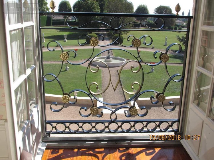 propriete a vendre Saint-Jean-sur-Reyssouze 01560 Ain 350 m2 11 pièces 3500000 euros