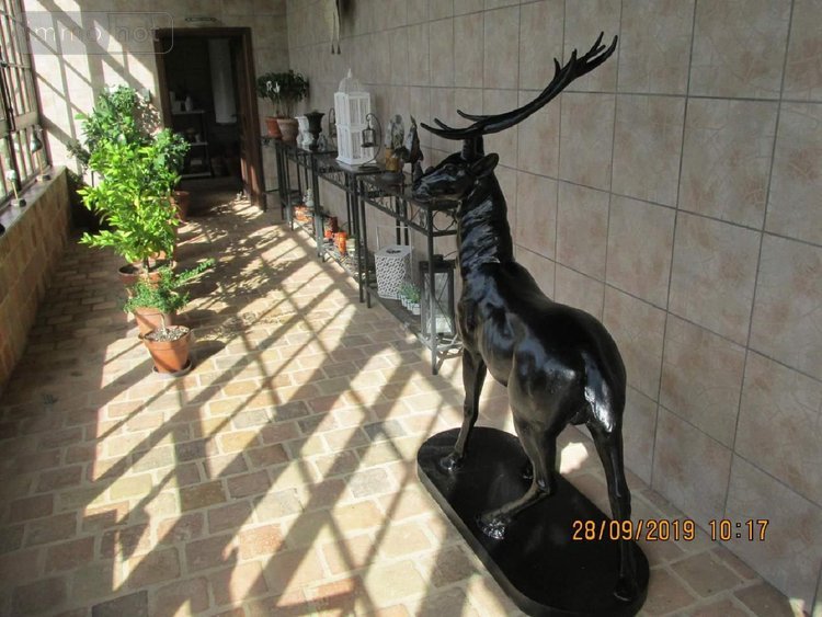 propriete a vendre Saint-Jean-sur-Reyssouze 01560 Ain 350 m2 11 pièces 3500000 euros