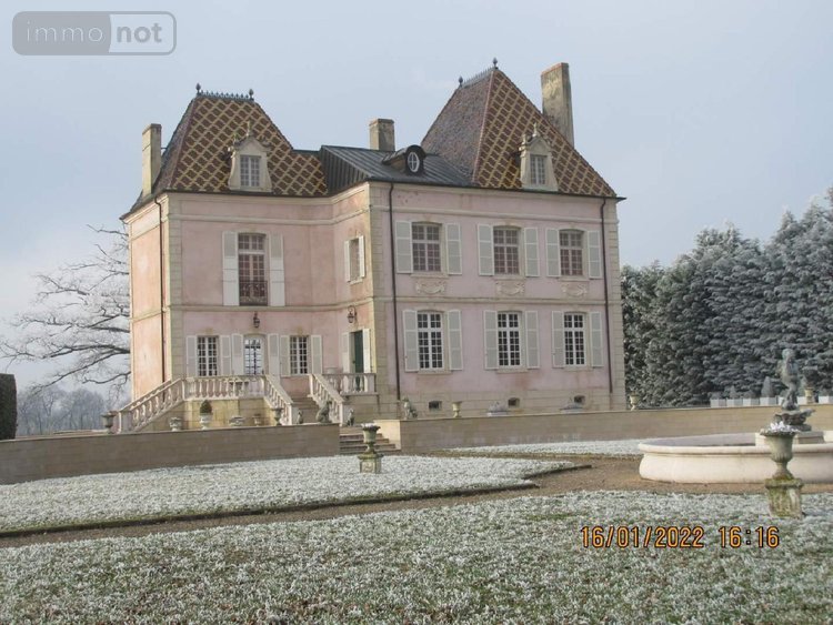 propriete a vendre Saint-Jean-sur-Reyssouze 01560 Ain 350 m2 11 pièces 3500000 euros