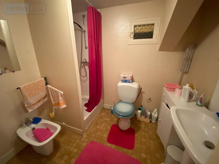 Maison a vendre Châtillon-sur-Indre 36700 Indre 53 m2 3 pièces 43600 euros