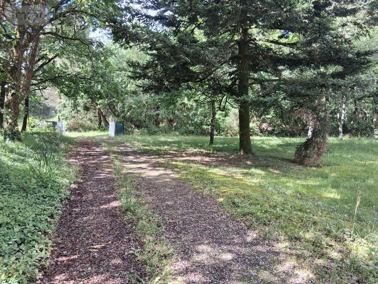 Maison a vendre Bedenac 17210 Charente-Maritime 90 m2 5 pièces 81000 euros