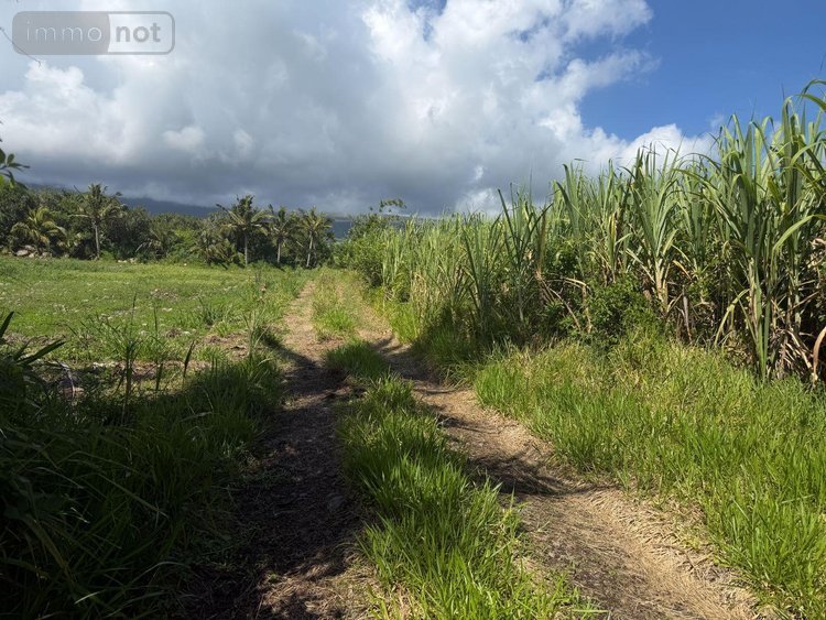 Bien agricole a vendre SAINTE-ANNE 97437 Réunion  149900 euros
