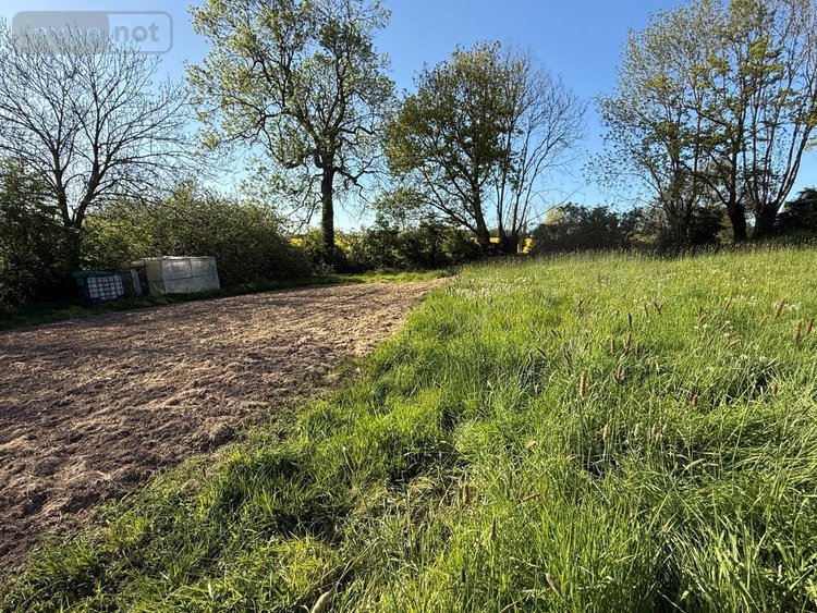 Terrains de loisirs bois etangs a vendre Blaringhem 59173 Nord 3330 m2  12400 euros