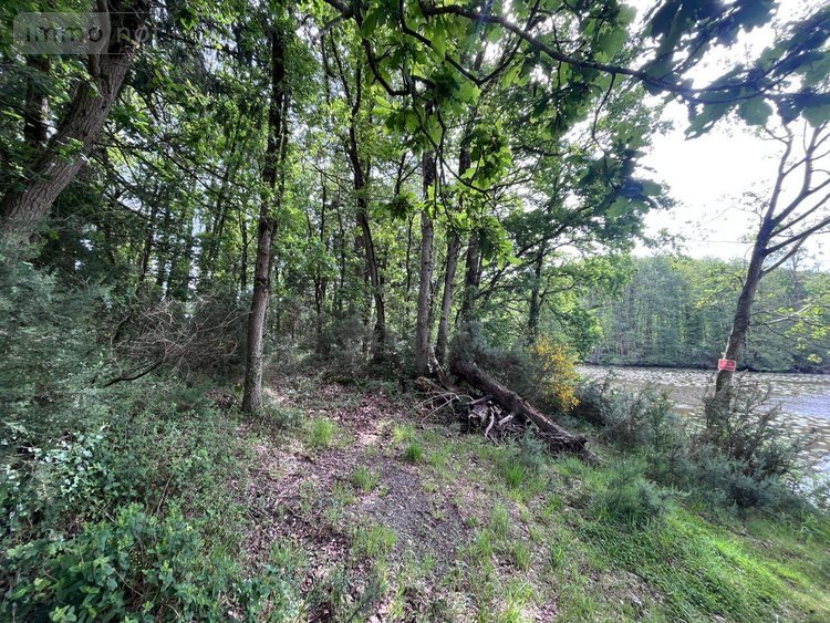 Terrains de loisirs bois etangs a vendre Le Tronchet 35540 Ille-et-Vilaine 84578 m2  128400 euros