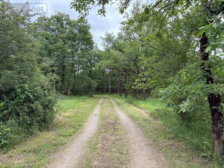 Terrains de loisirs bois etangs a vendre Migné 36800 Indre 160992 m2  546000 euros